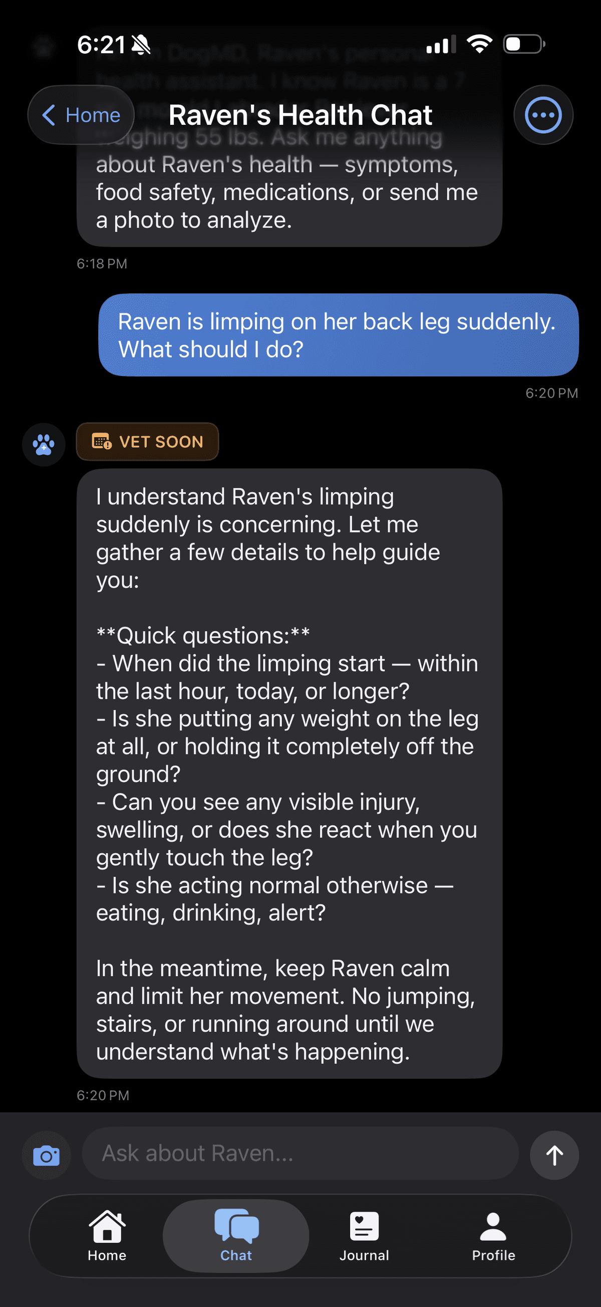 DogMD AI chatbot